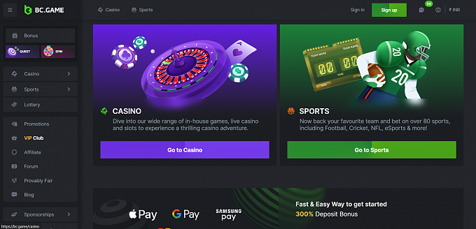Exploring the Dynamics of Online Gambling A Deep Dive into BC.Game